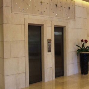 Đá ốp thang máy 6
