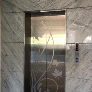 Đá ốp thang máy 25