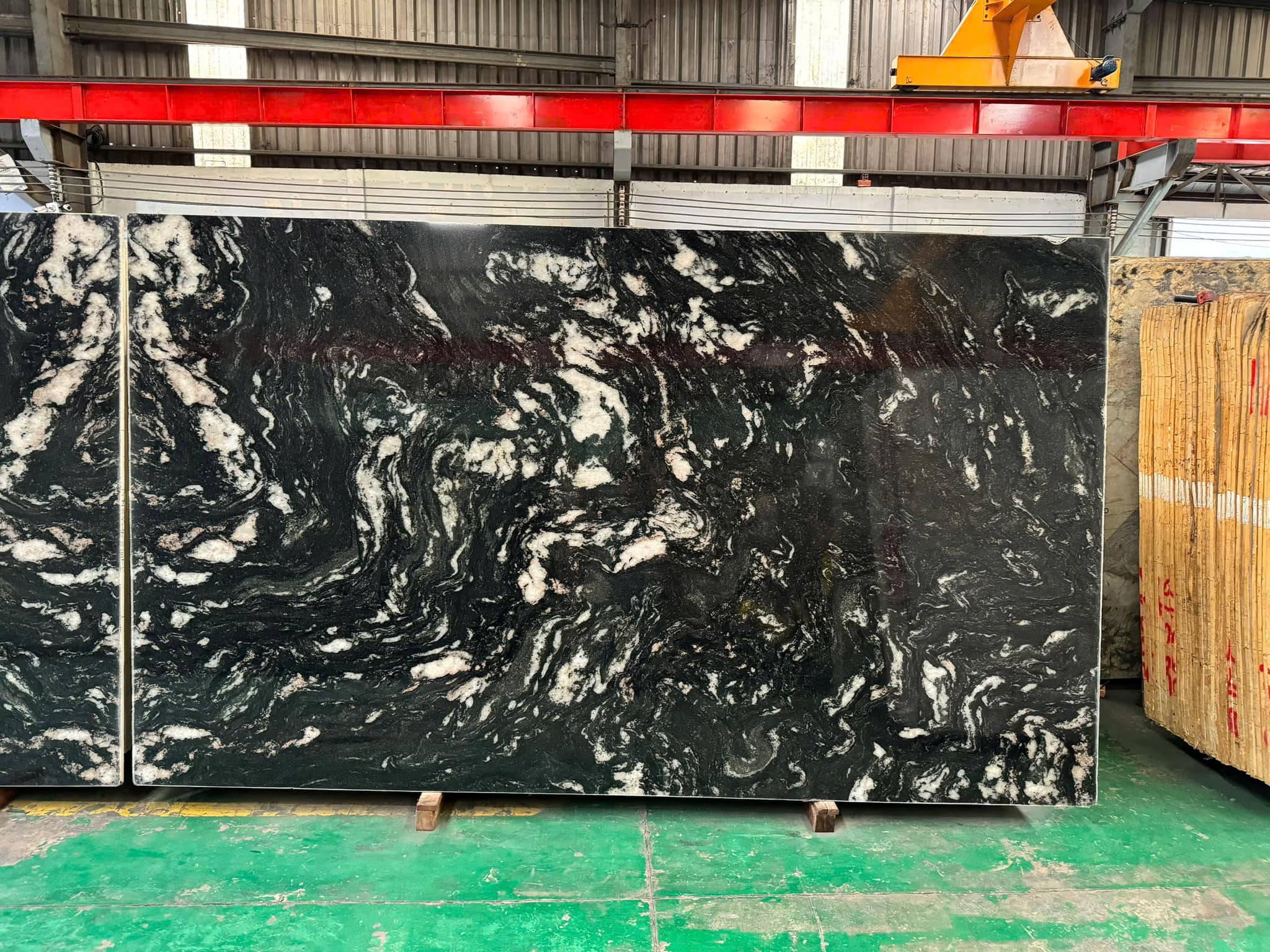 480562788_1130523428556495_2472472323618929257_n